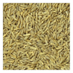 Cumin seeds 1kg (জিরা) - Image 2