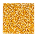 POP Corn(পপ কর্ণ তৈরীর ভুট্টা) 1Kg