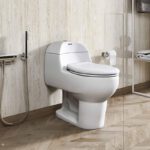Rosa RHINO Single piece water closet