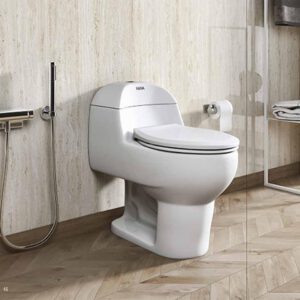 Rosa RHINO Single piece water closet