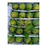Khirshapat (ক্ষীরশাপাতি) Mango 20Kg - Image 9